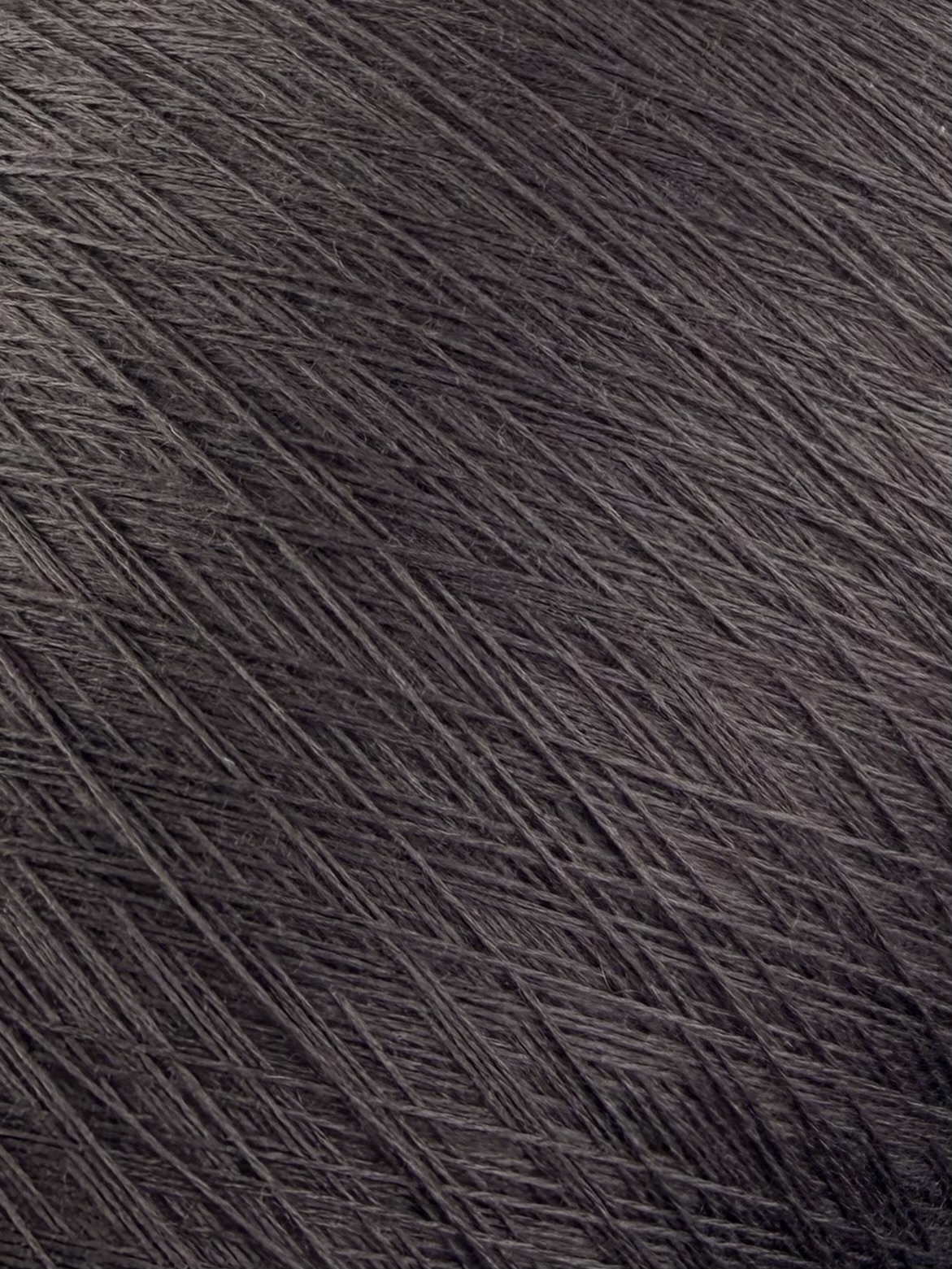 Tollegno 1900 Harmony Nm 2/30 – 100 % Merinowolle extrafein, col. Castoro/carpa 10014